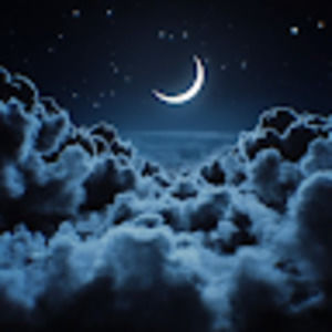 Meet your Posher, Lani